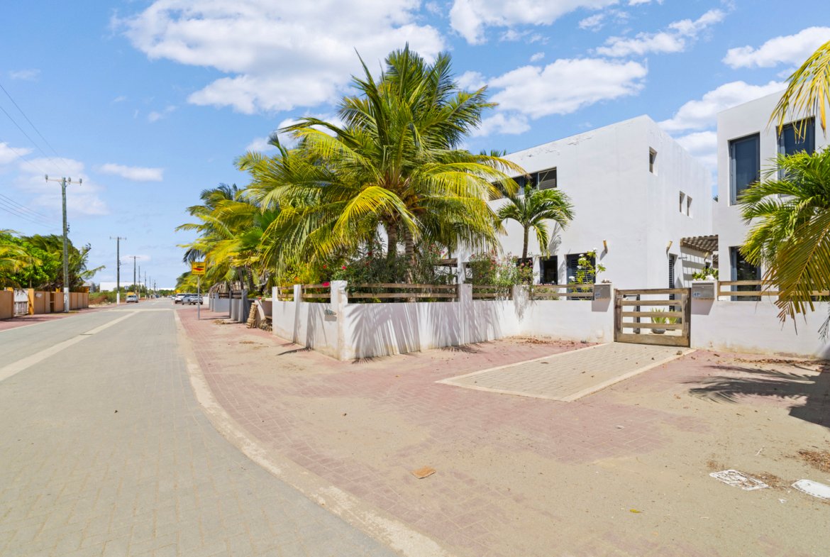 41 kaya saturnus true media culture 02