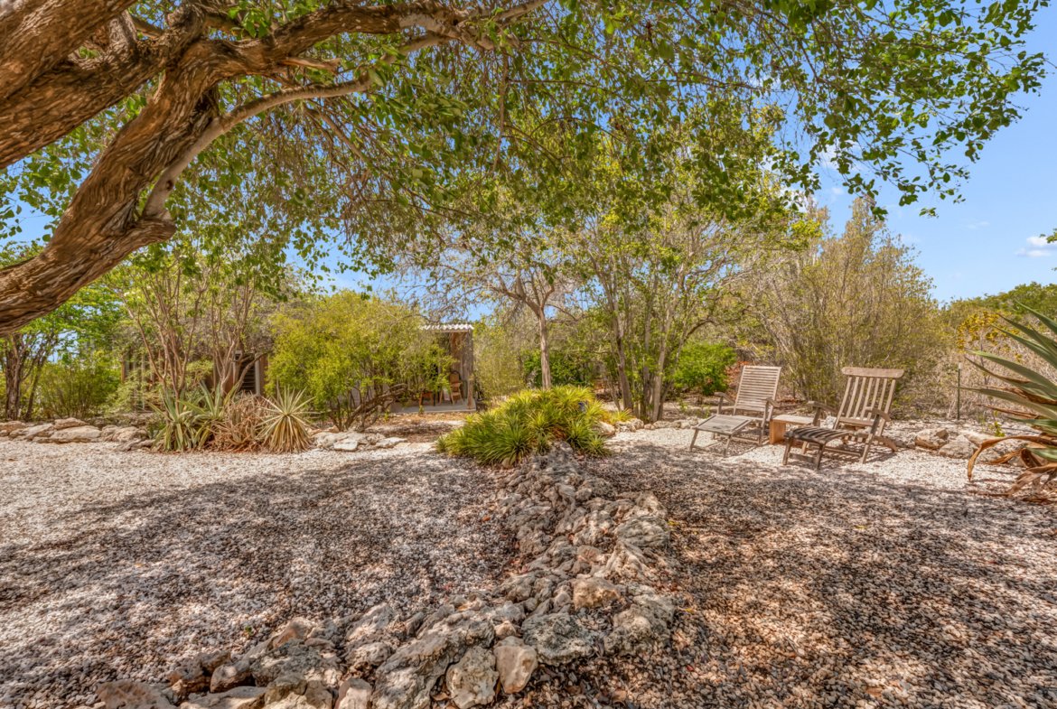 57 44 terrace 79 grace media bonaire (48)