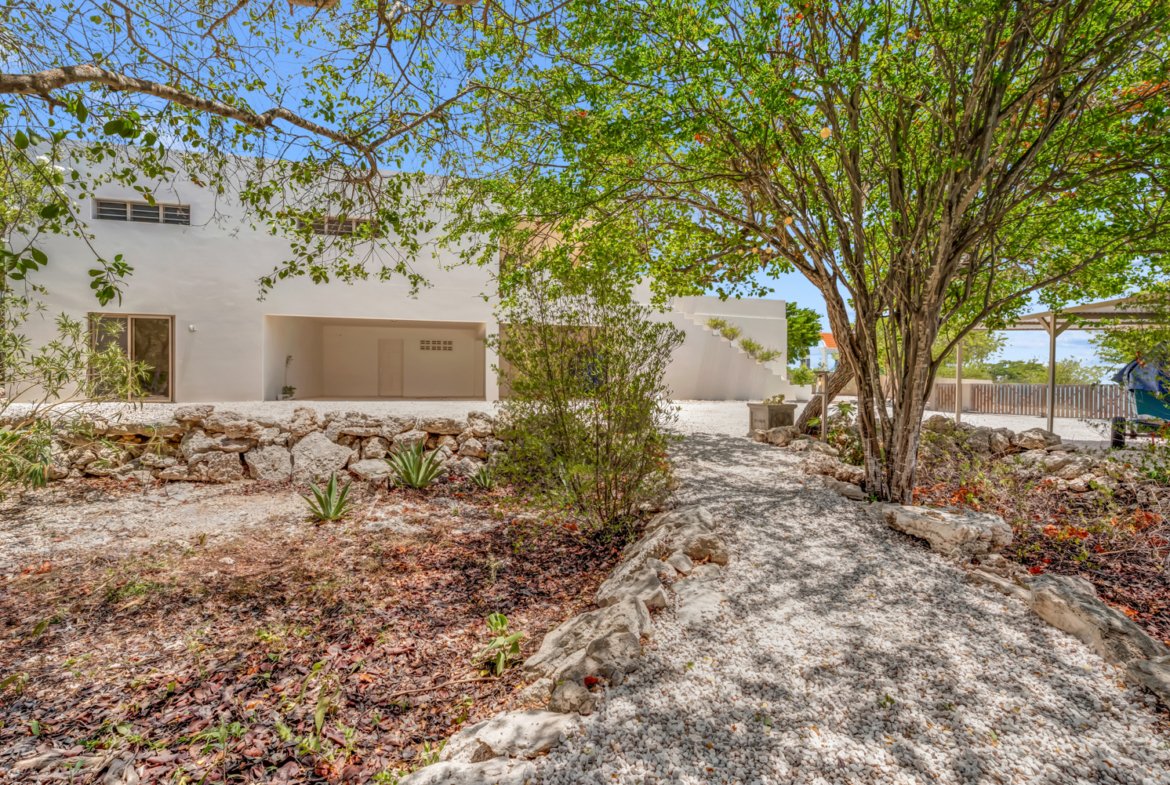 58 44 terrace 79 grace media bonaire (63)