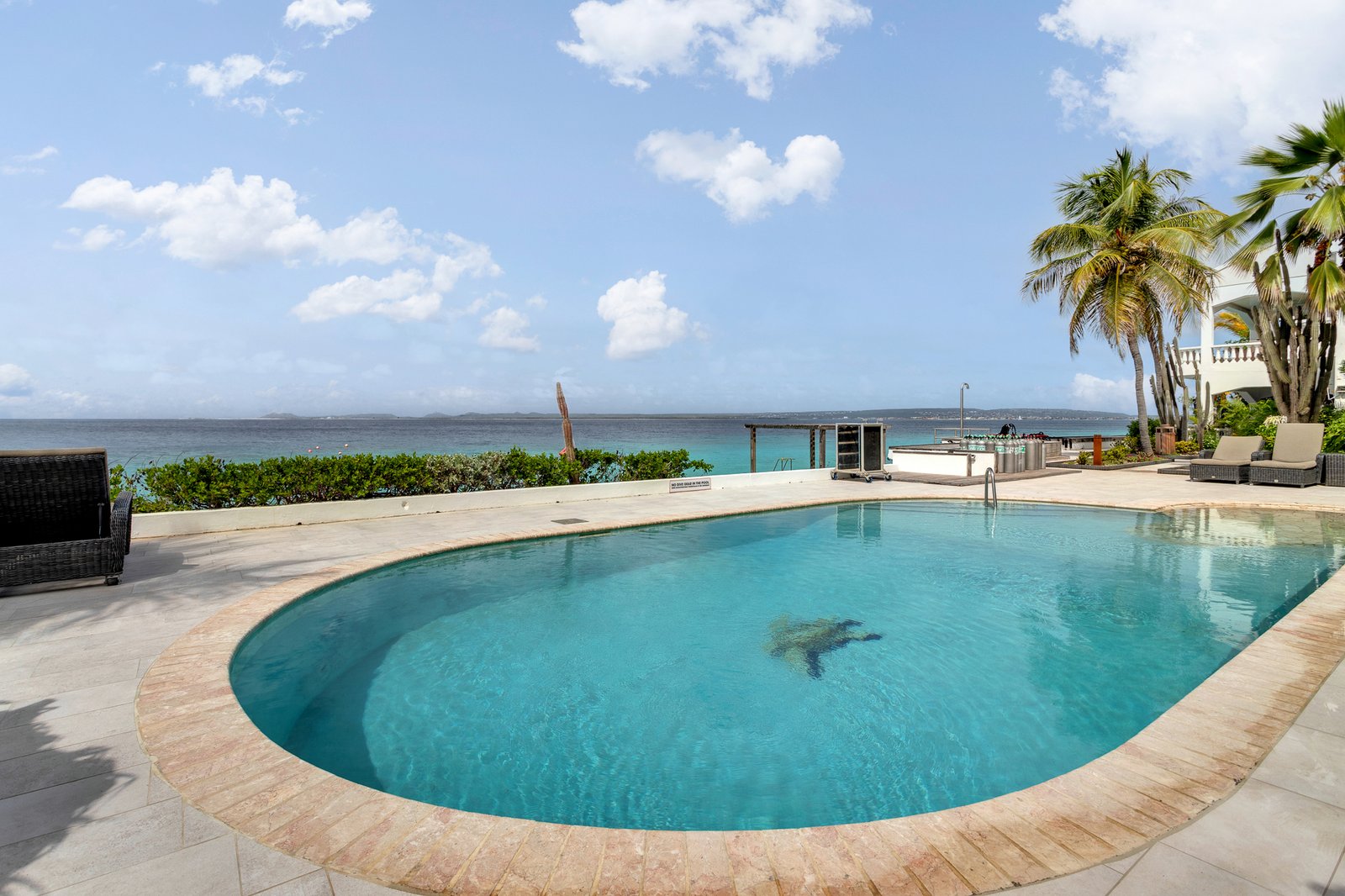 Belmar Apartments 11 Low res True media & culture 50