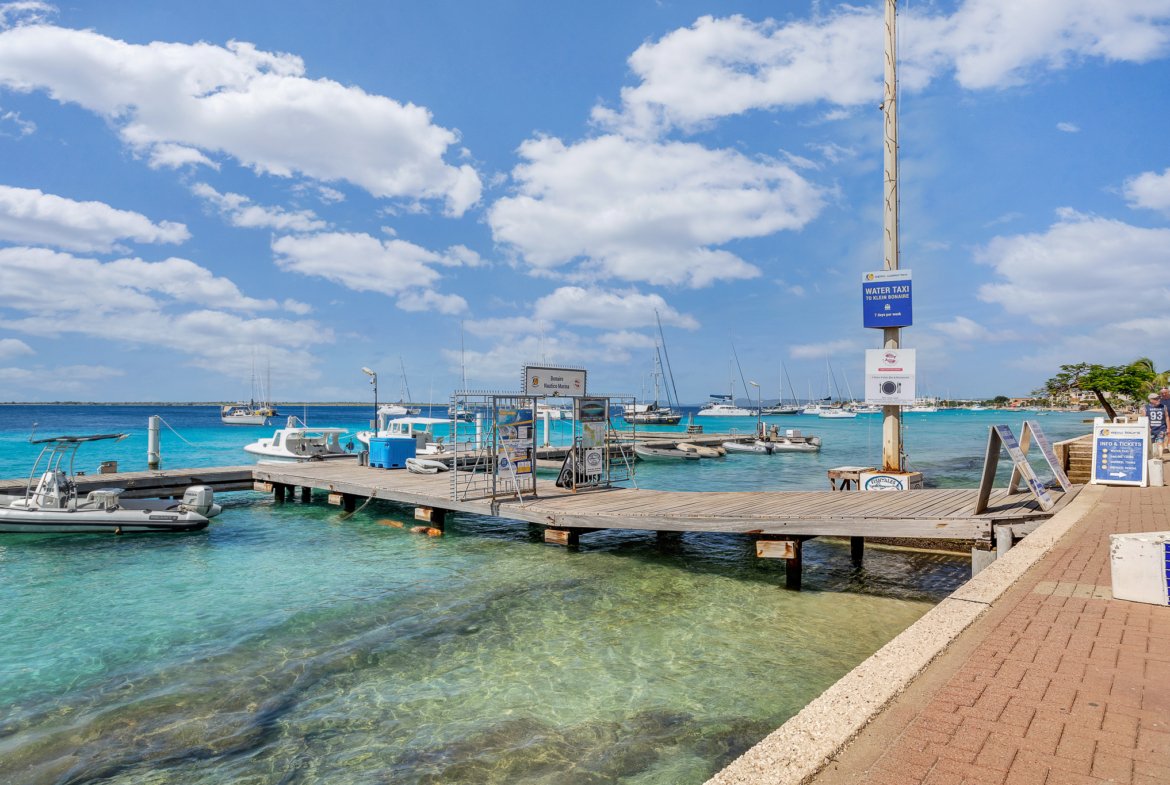 Club Nautico low res True media & culture 32