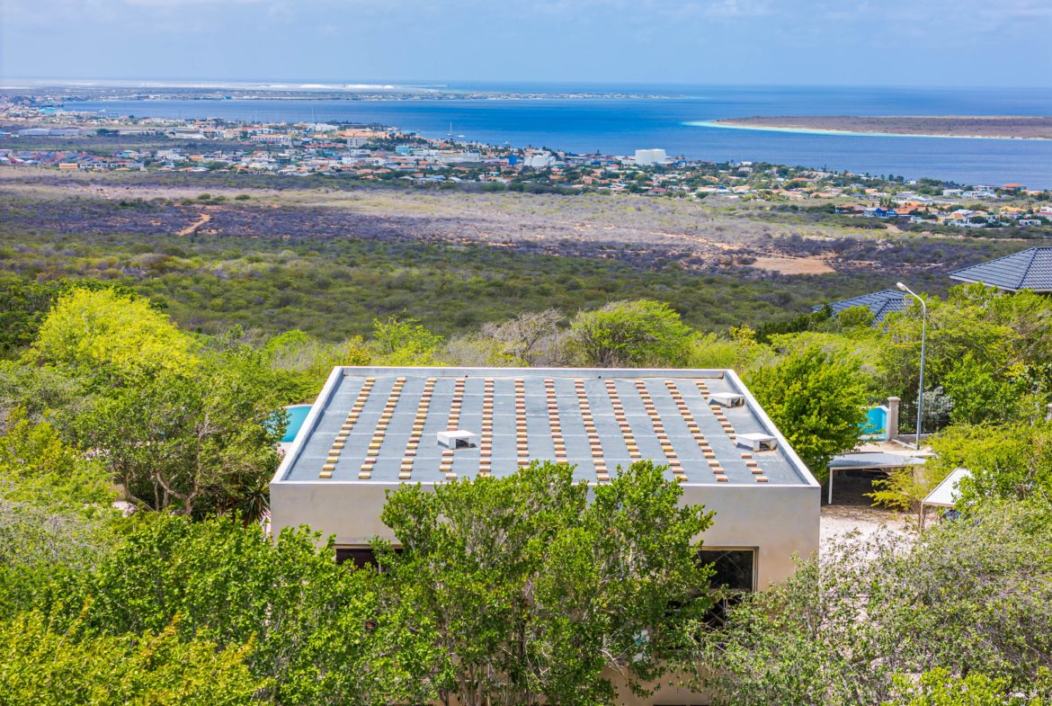 Crown Terrace 79 Drone 1 (2)