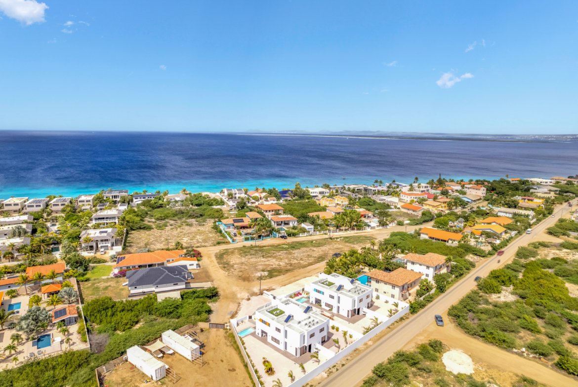 Drone shots Stacy True media & culture 15