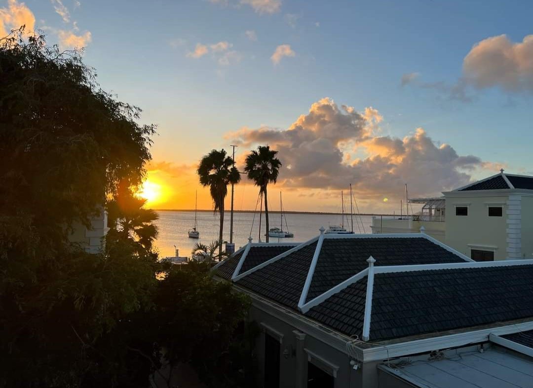 FB IMG 1668160489321