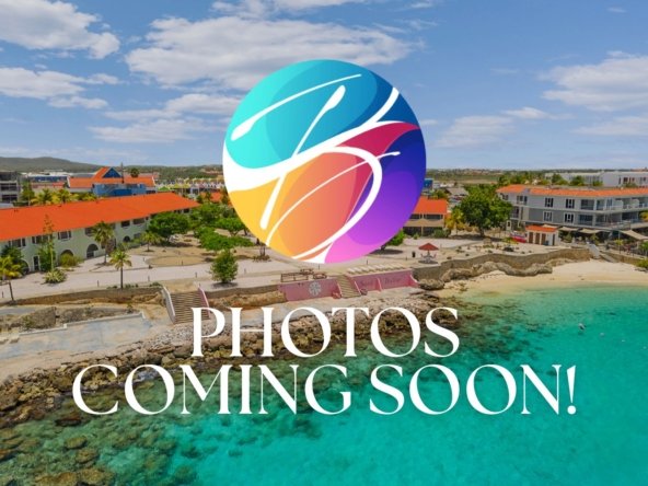 Sand Dollar true media culture 001