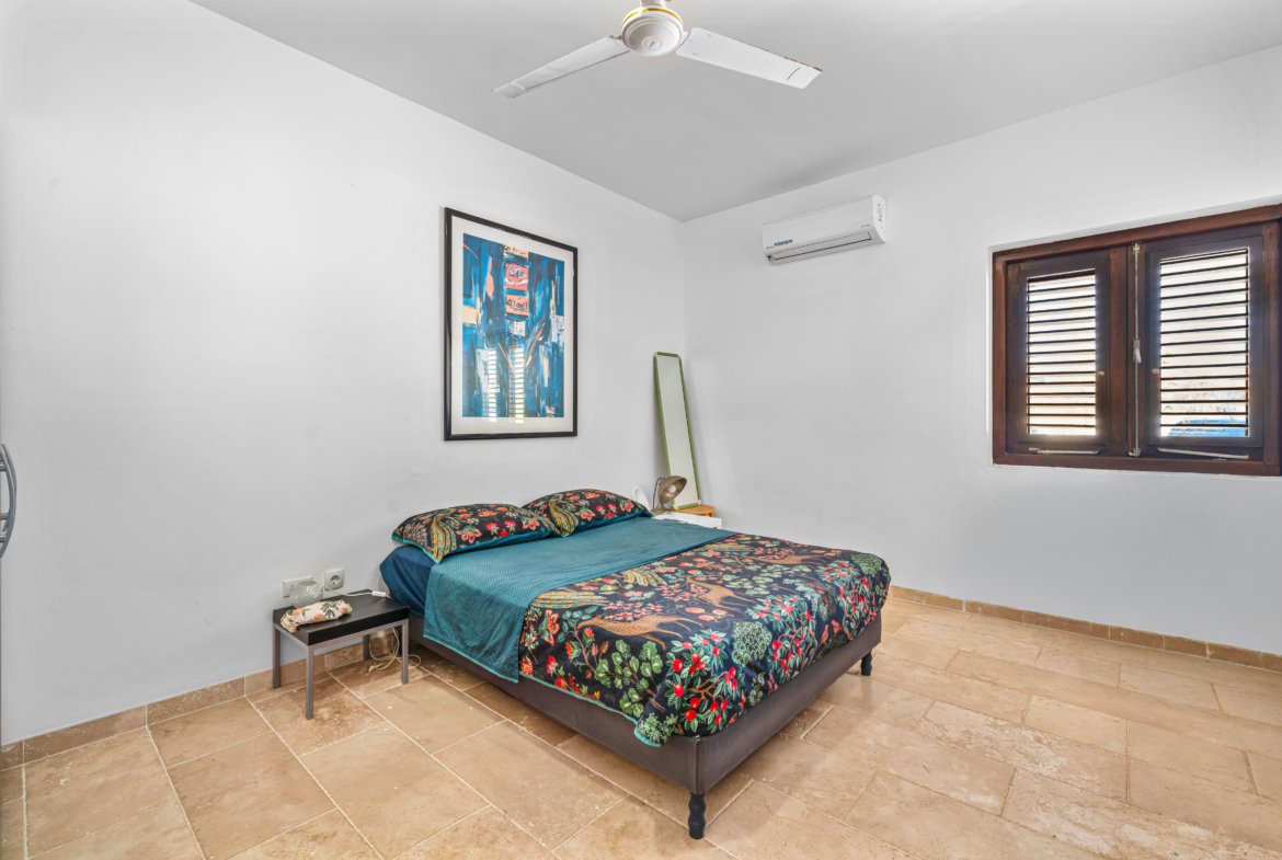 Shores 62 29