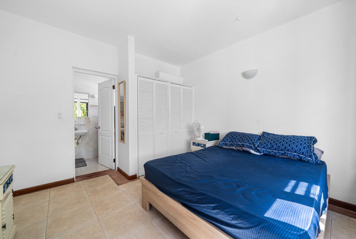 Shores 62 40