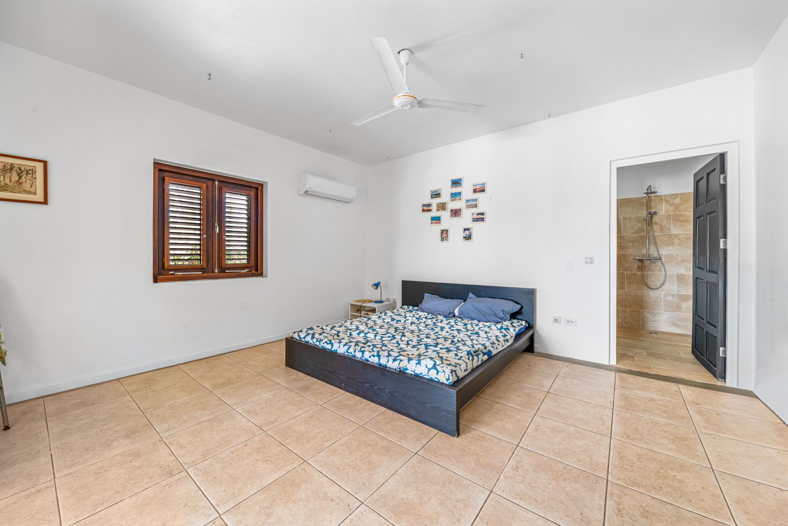 Shores 62 49