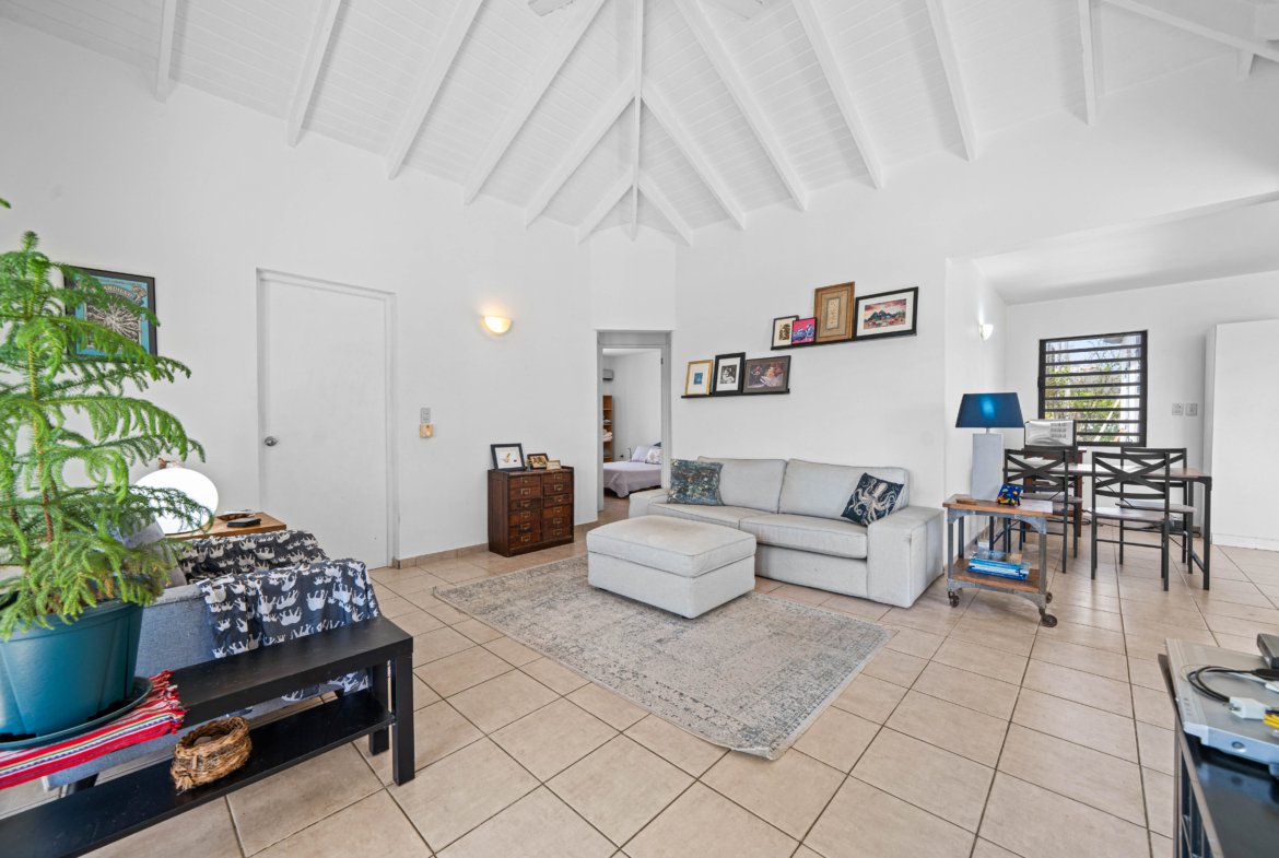 Shores 62 54