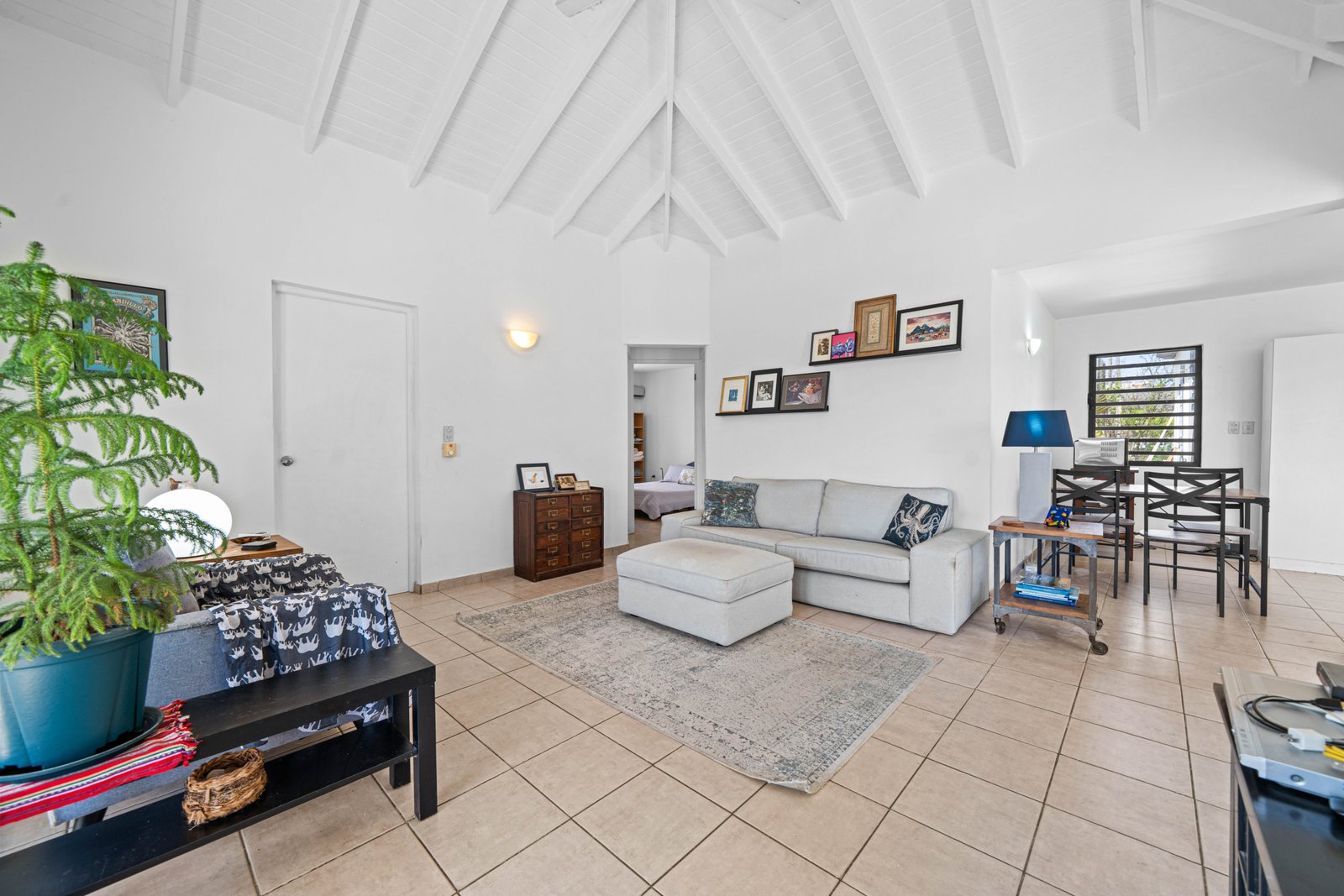 Shores 62 54