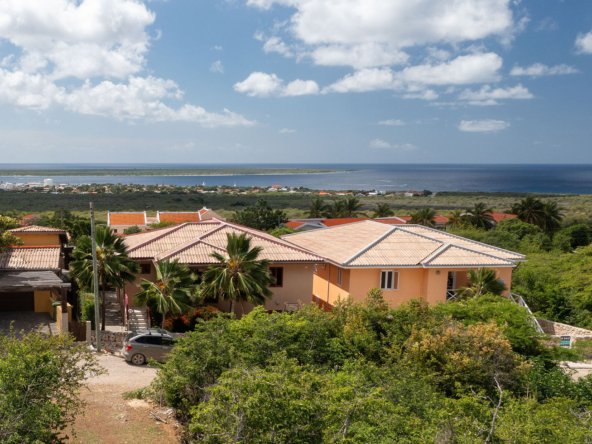 SkyviewBonaire AerialkavalSantaBarbara5meterH15012024 DJI 0079