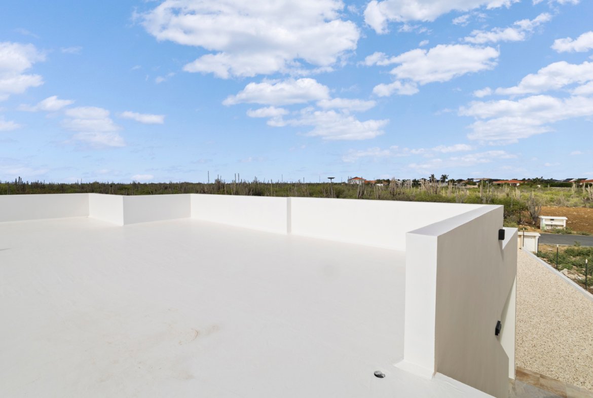 kaya ir. randolph statius van eps true media culture 34