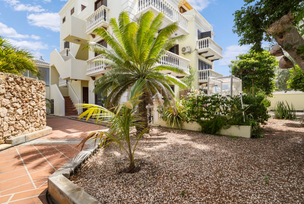 kaya j.n.e craane 24 true media culture 03