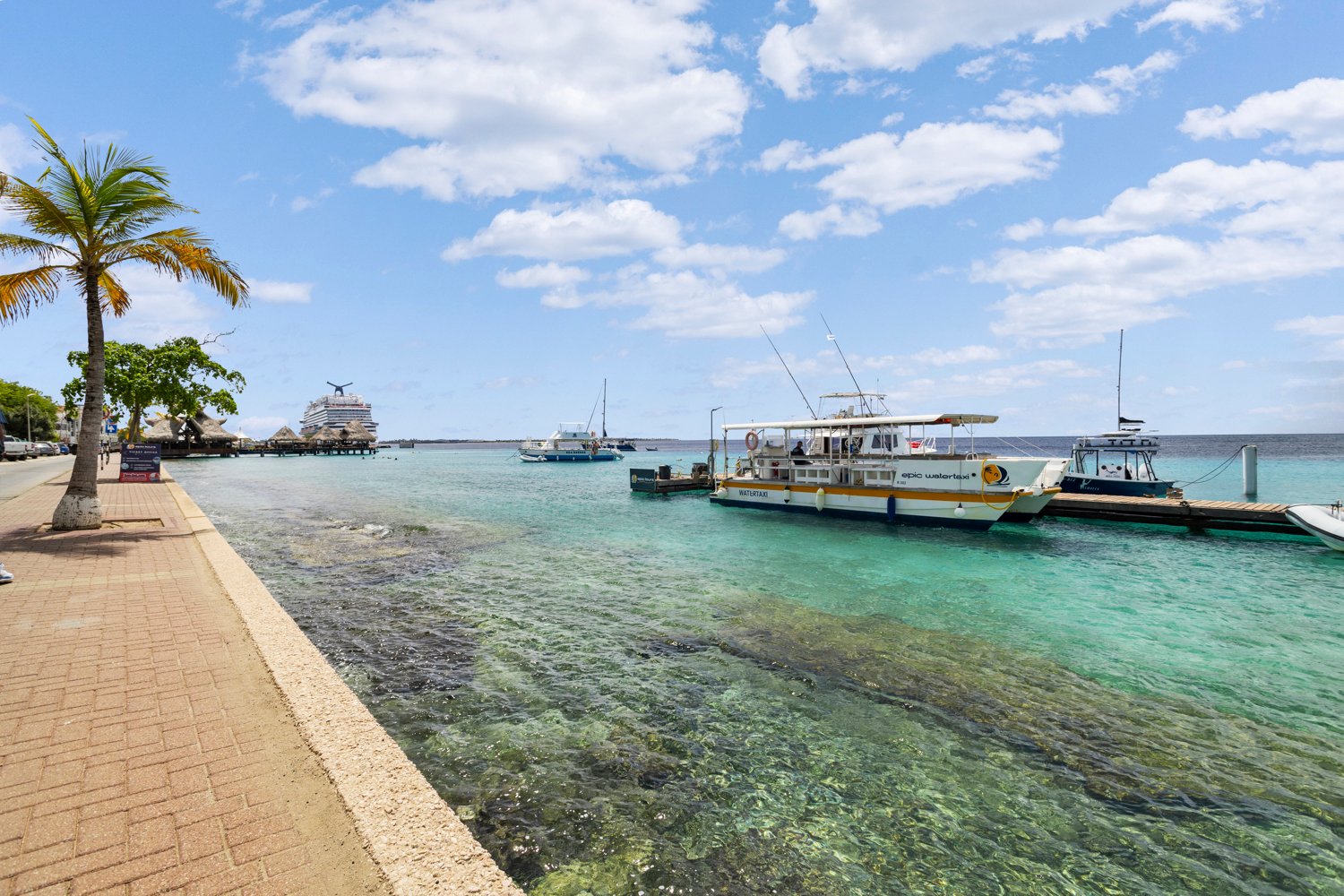 kaya j.n.e craane 24 true media culture 22