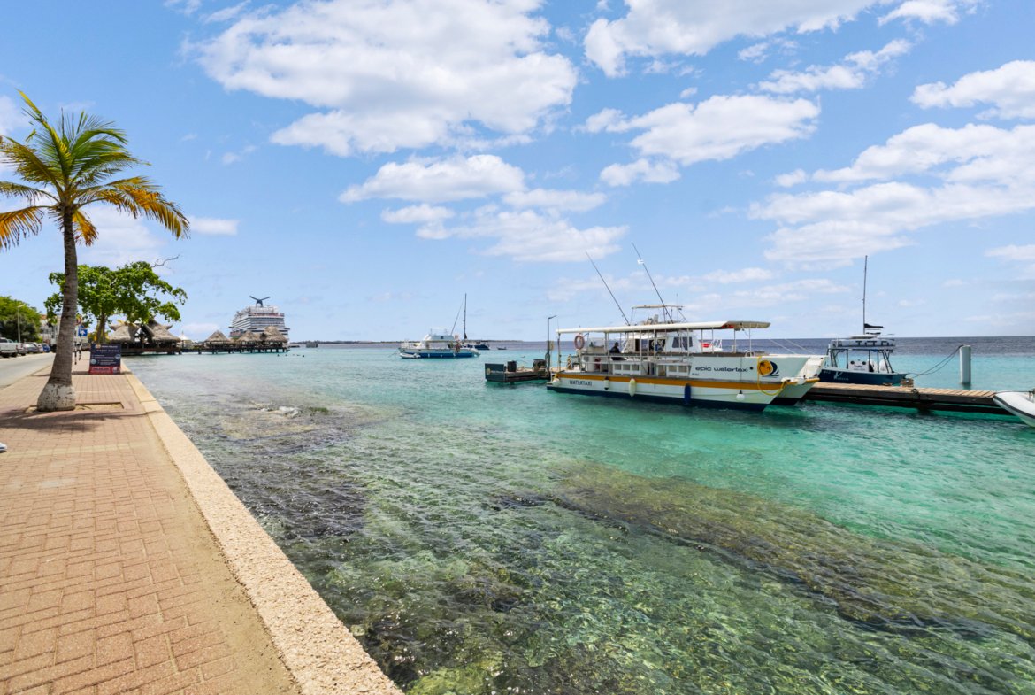 kaya j.n.e craane 24 true media culture 22