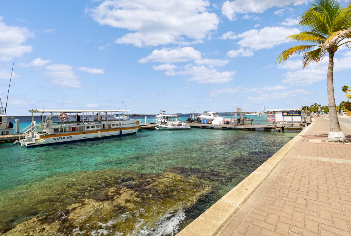 kaya j.n.e craane 24 true media culture 28