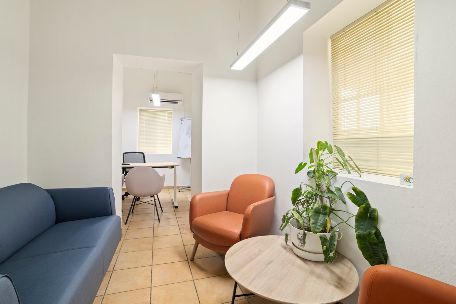 kaya libertador bolívar true media culture 13