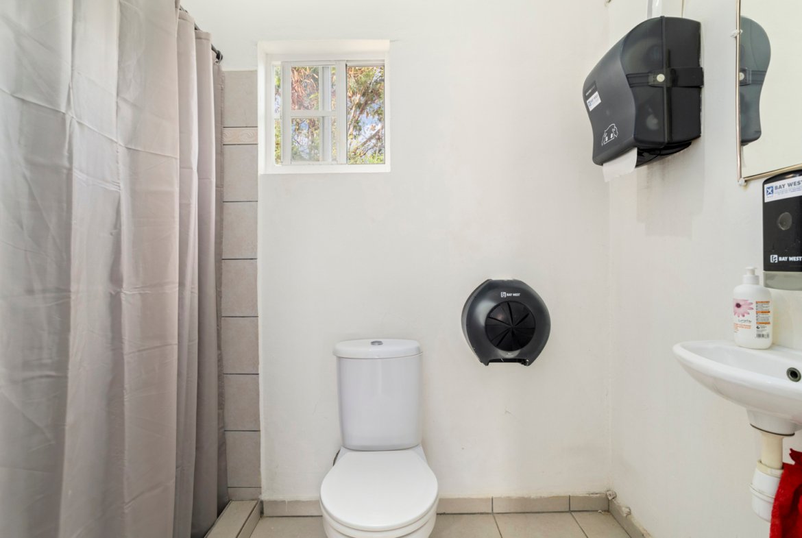 kaya libertador bolívar true media culture 17