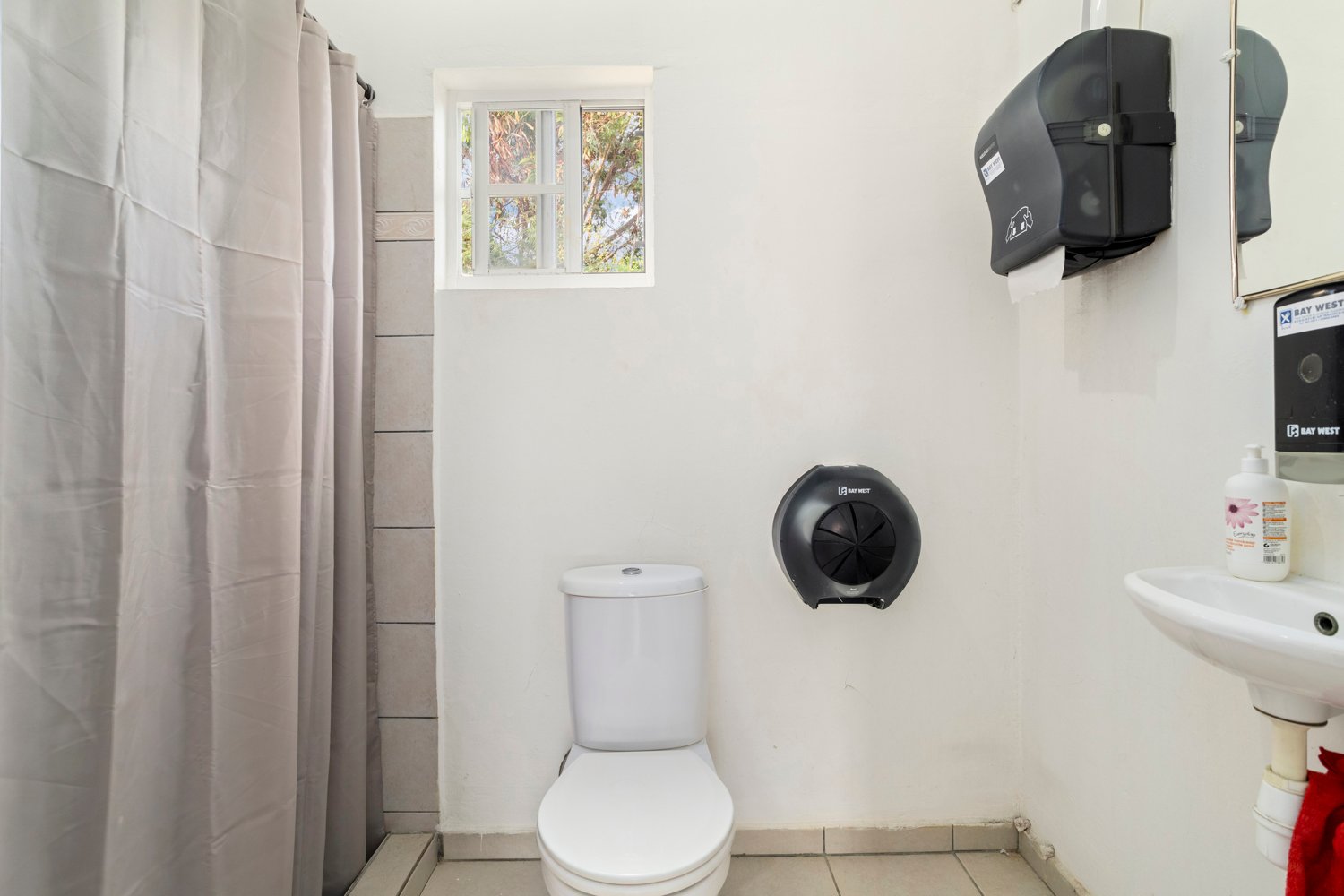 kaya libertador bolívar true media culture 17