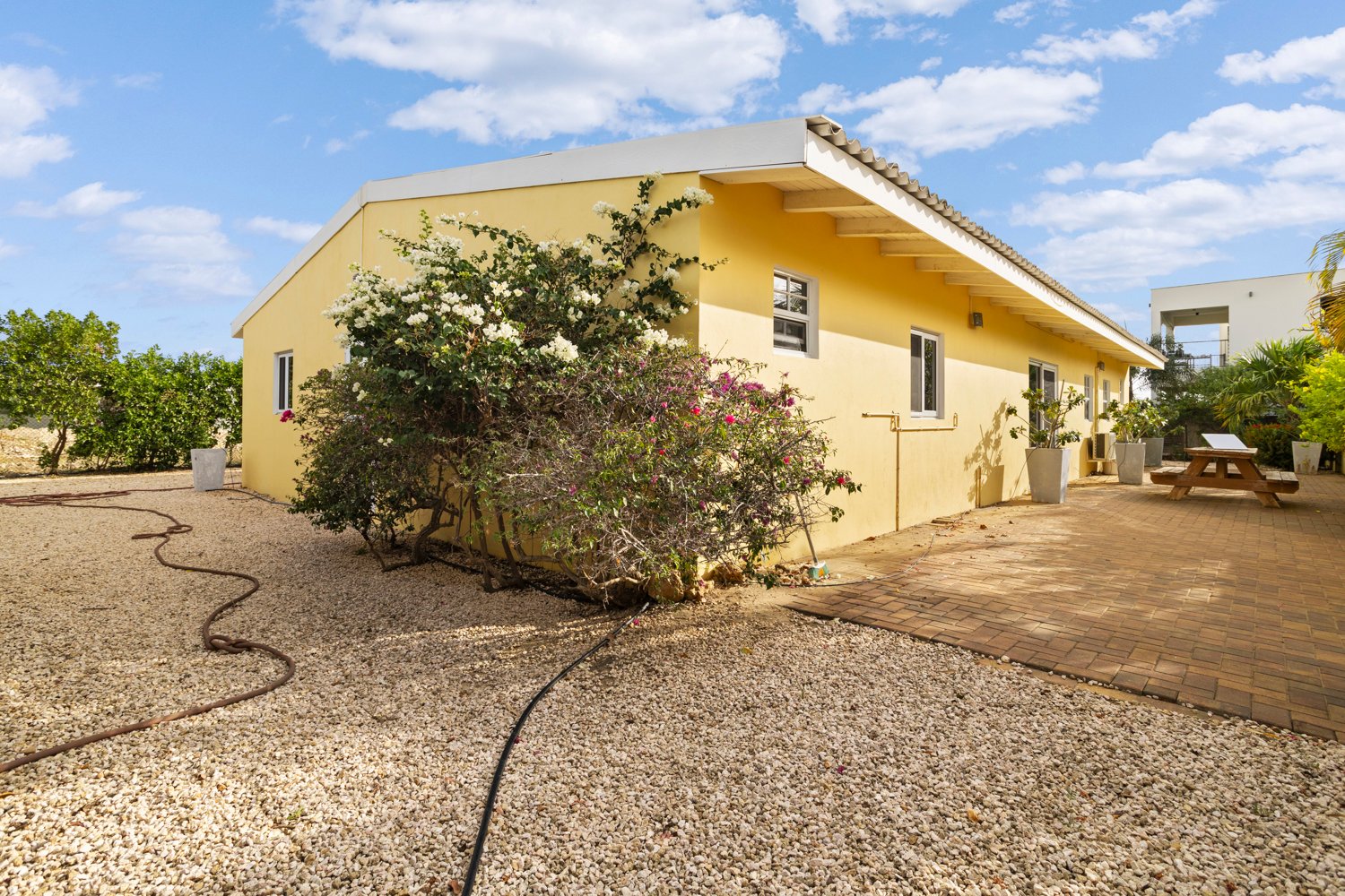 kaya pos di watapana true media culture 02