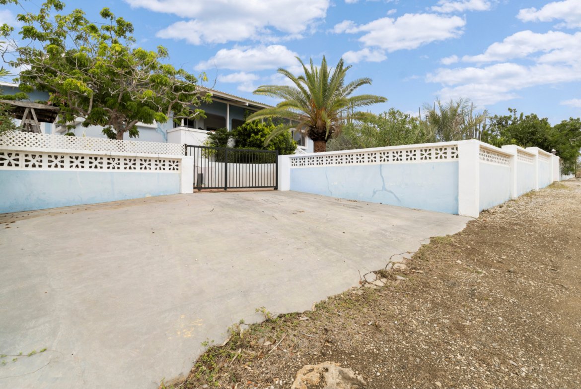 kaya sardonis true media culture 01