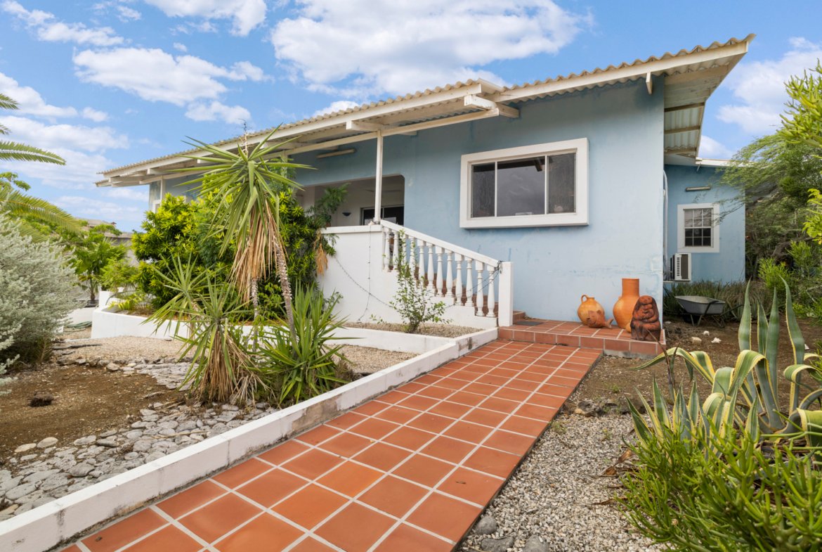 kaya sardonis true media culture 04