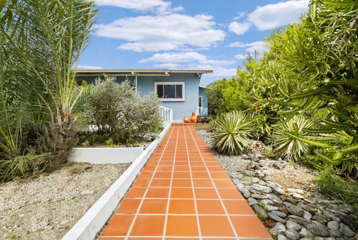 kaya sardonis true media culture 25