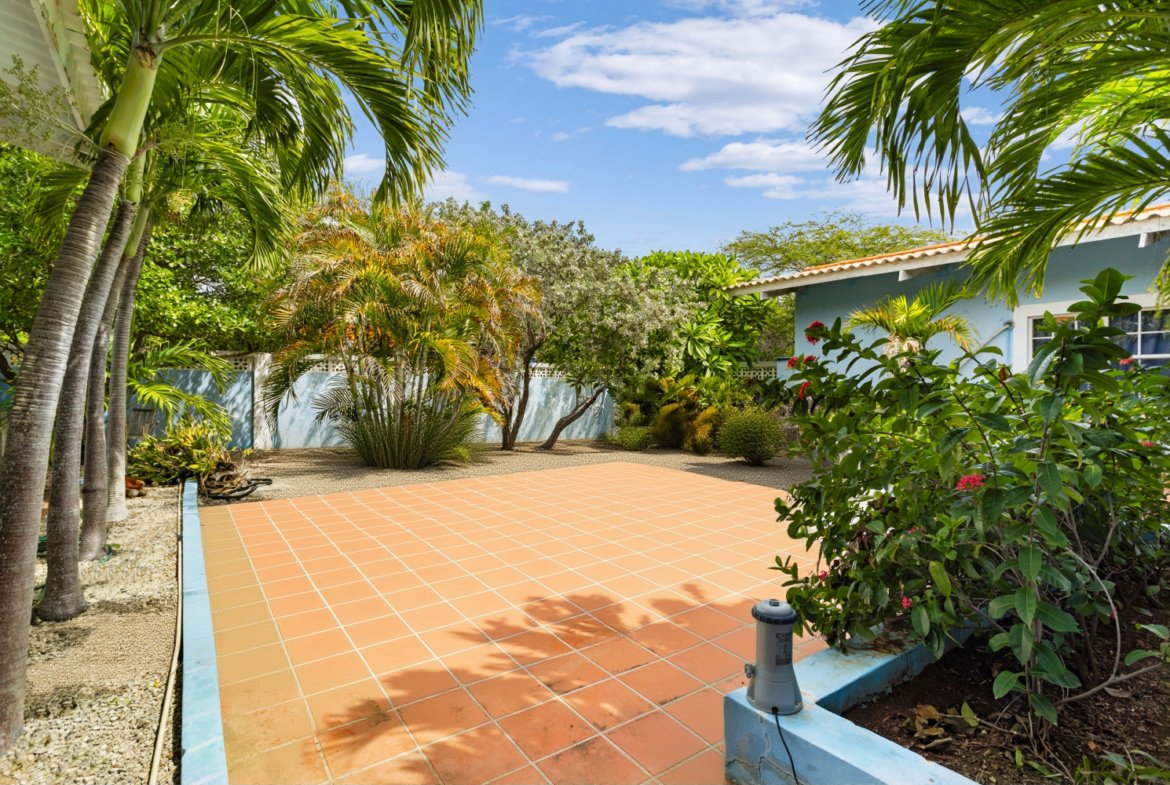 kaya sardonis true media culture 30