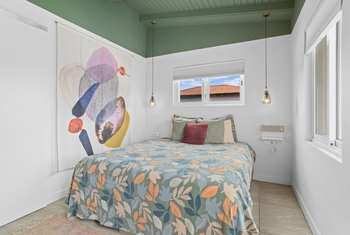 kaya sinfonia true media culture 13