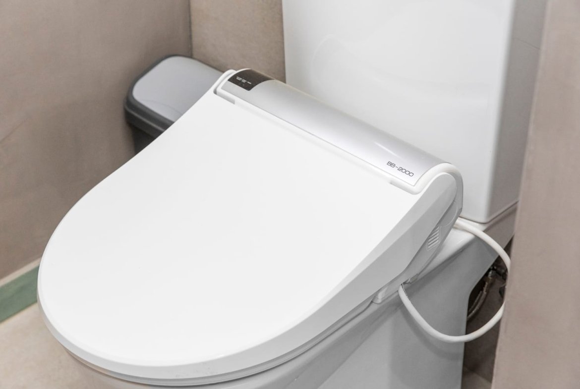 kralendijk true media culture 24