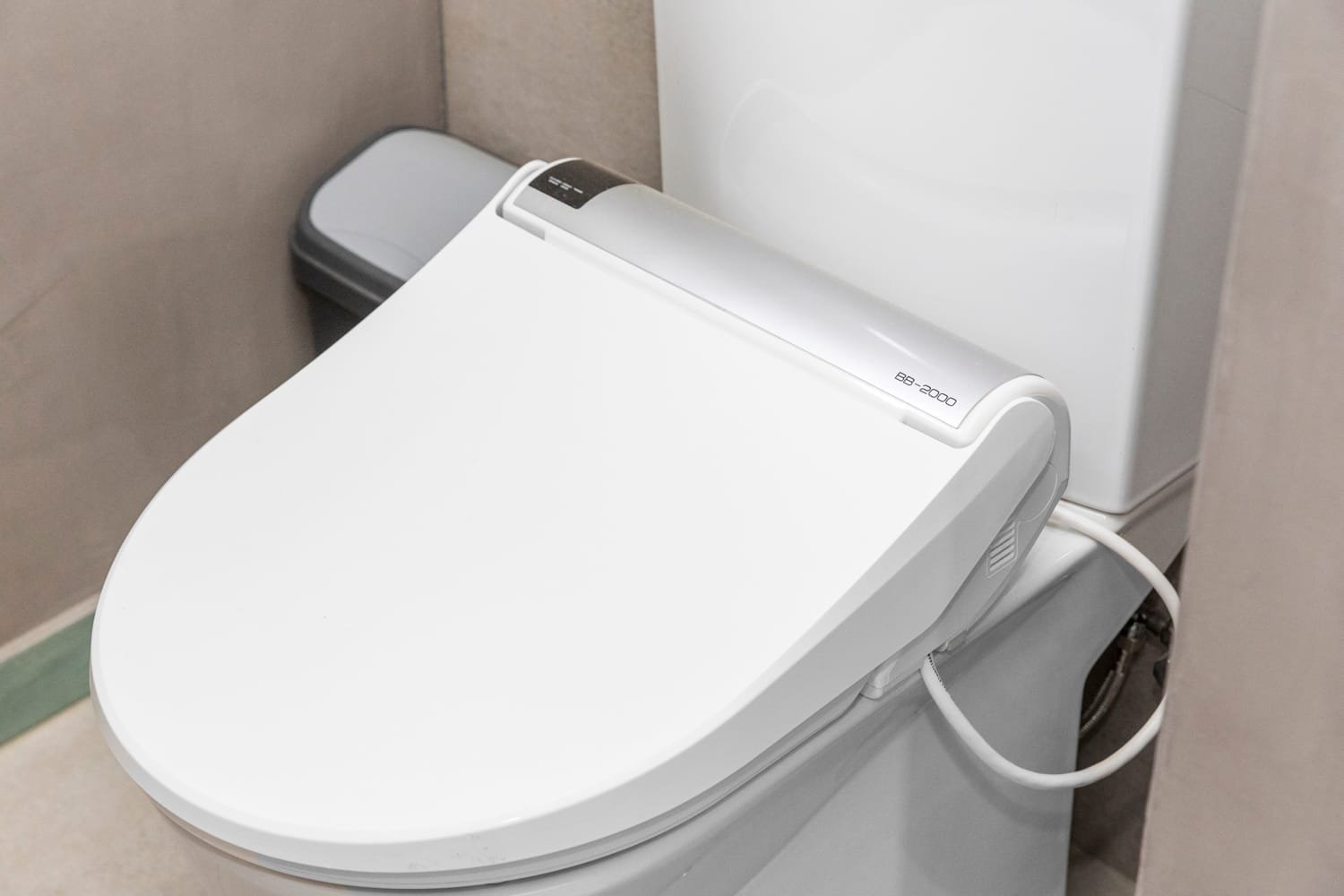 kralendijk true media culture 24