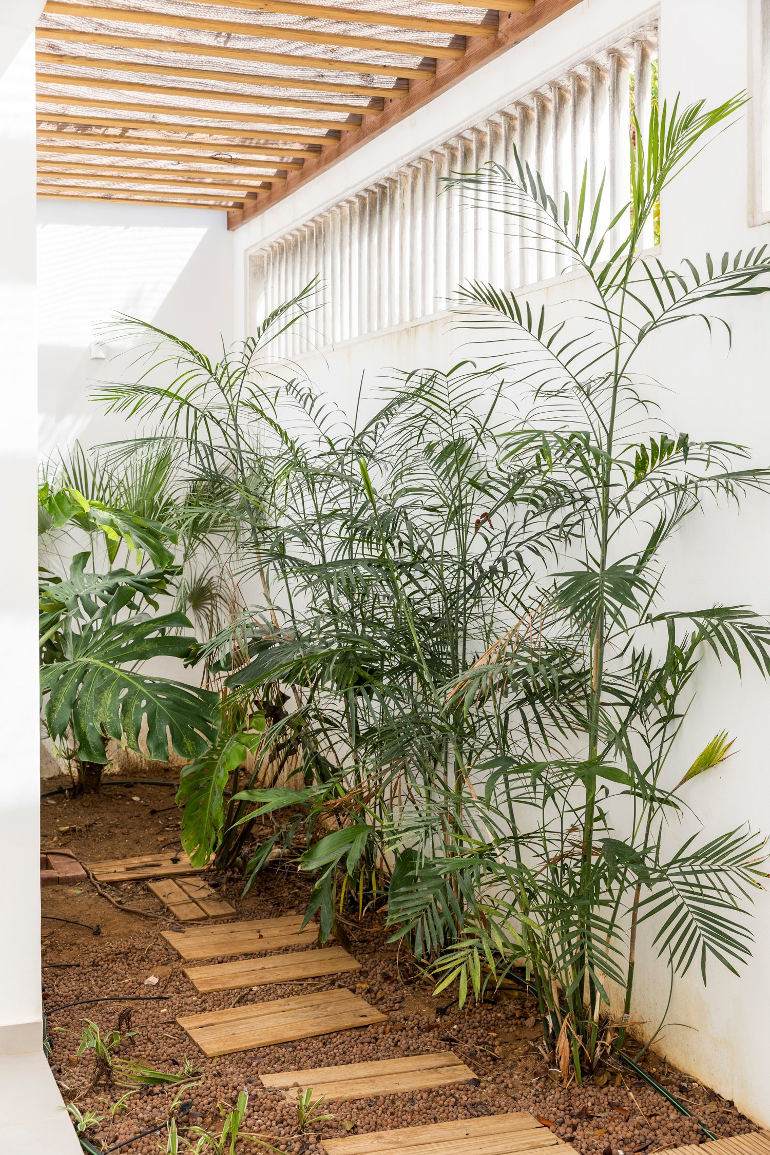 kralendijk true media culture 33