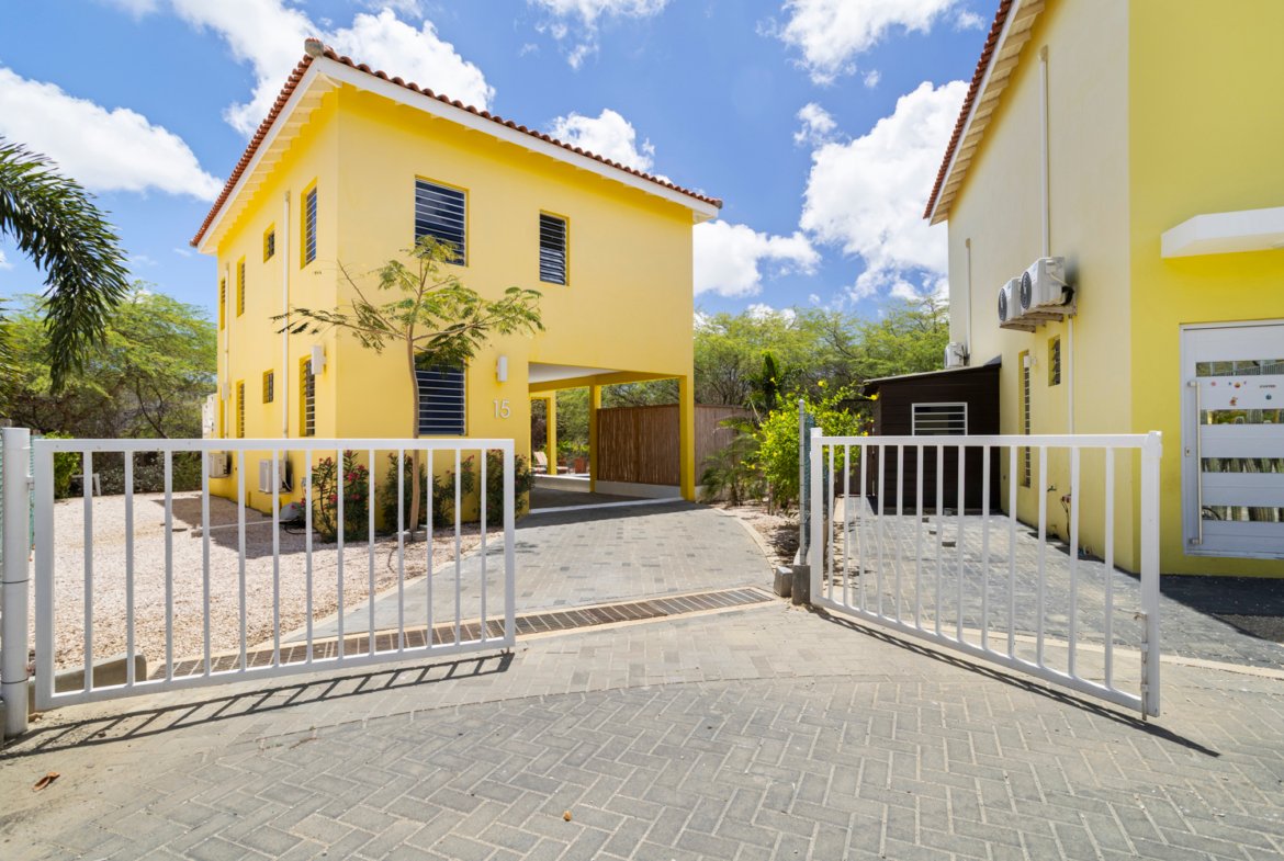 north saliña true media culture 01