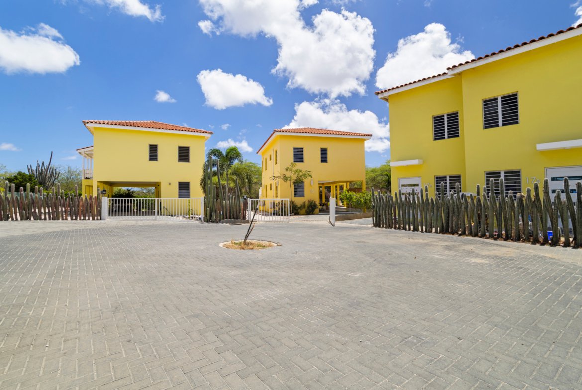 north saliña true media culture 02