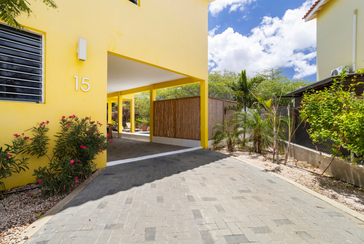 north saliña true media culture 03