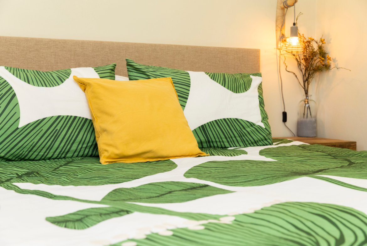 north saliña true media culture 18