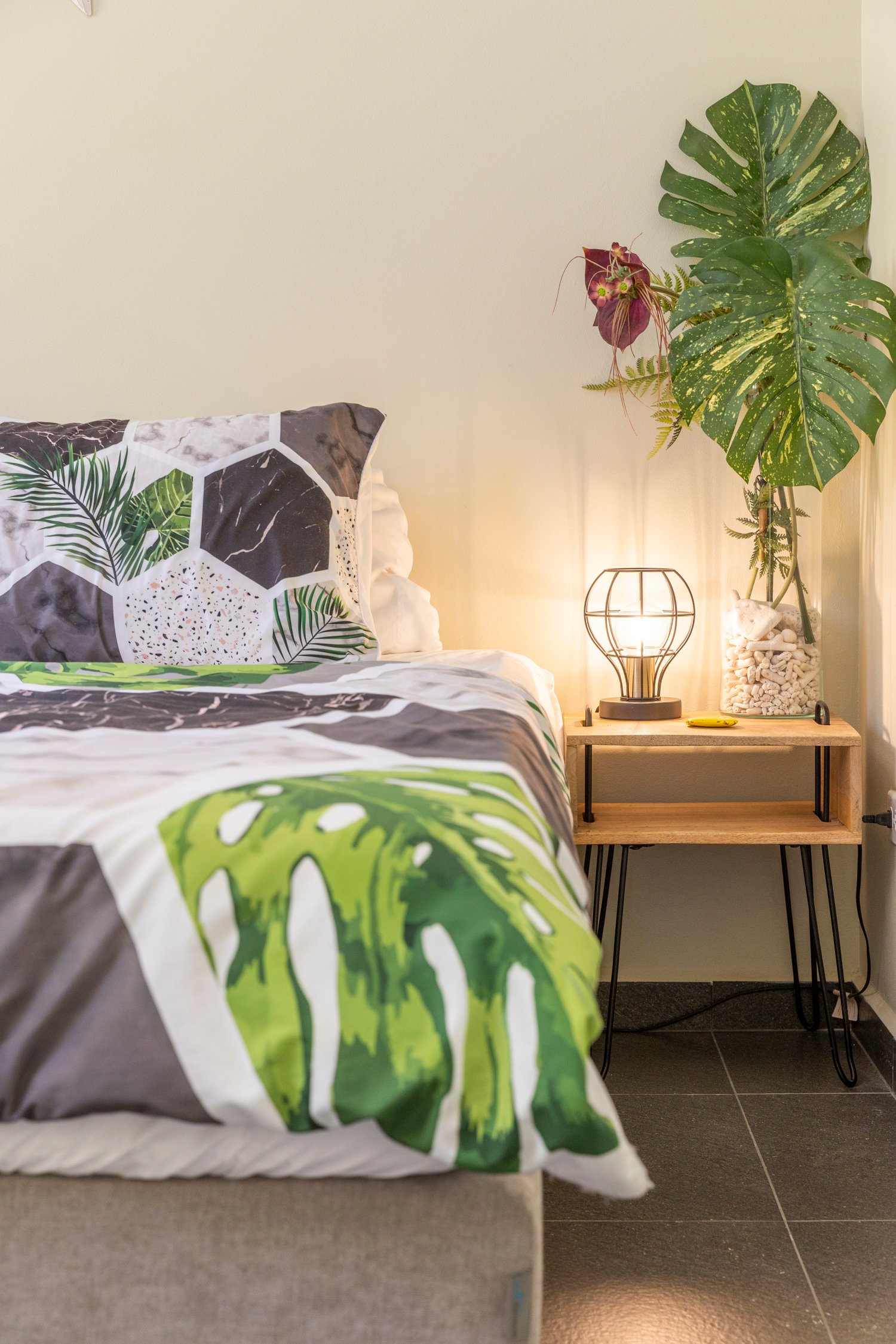 north saliña true media culture 22