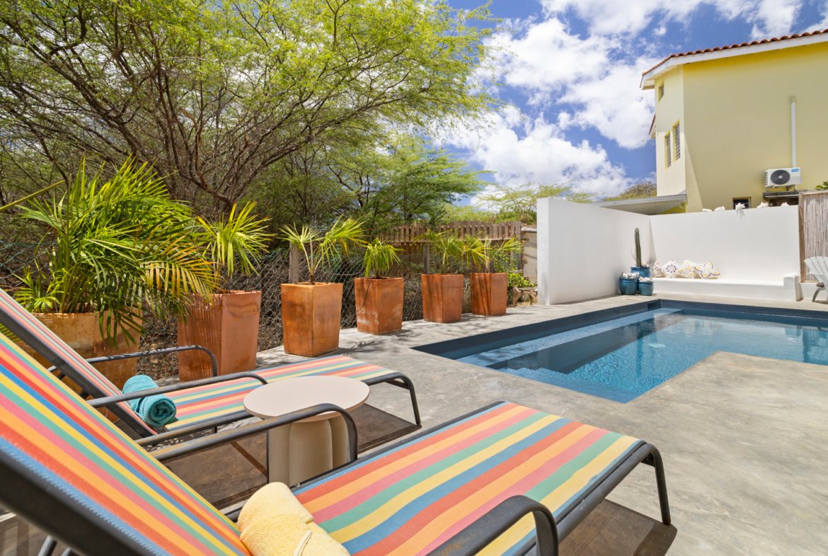 north saliña true media culture 33