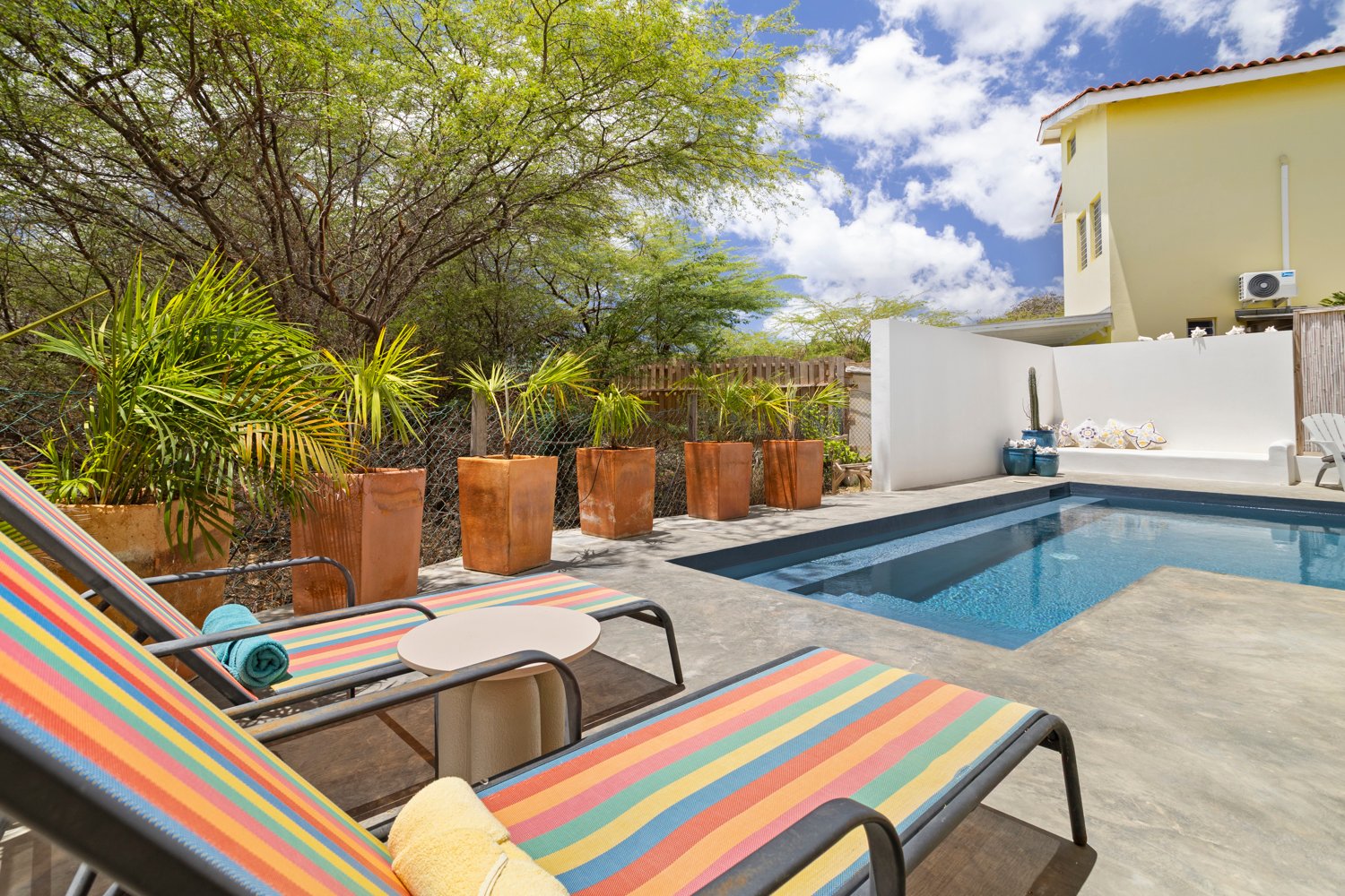 north saliña true media culture 33