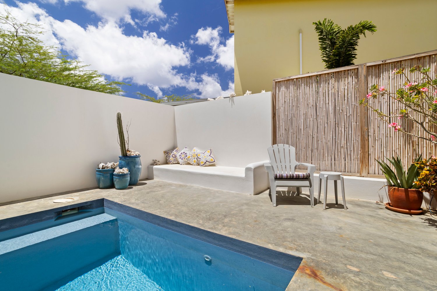 north saliña true media culture 37