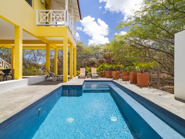 north saliña true media culture 38