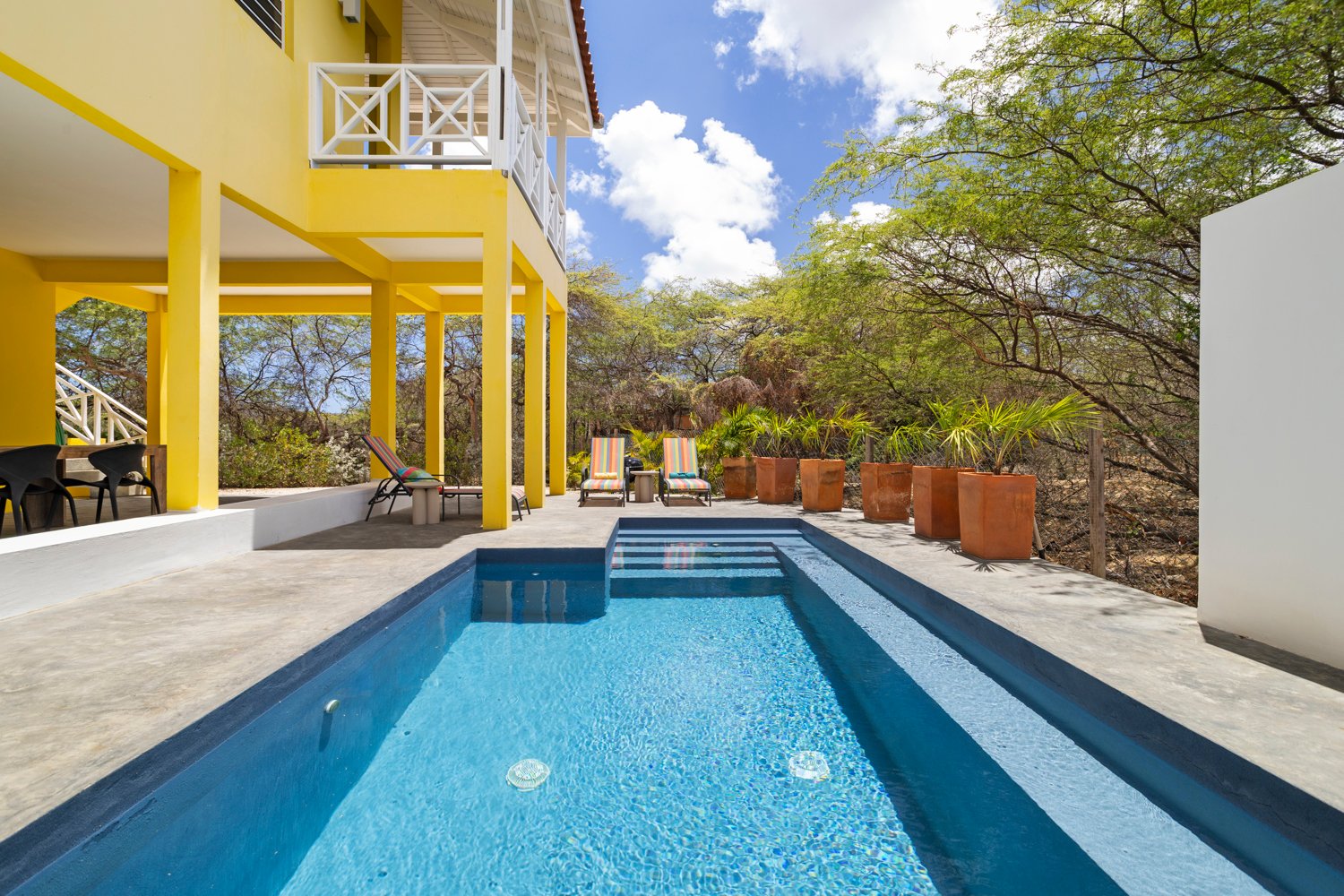 north saliña true media culture 38