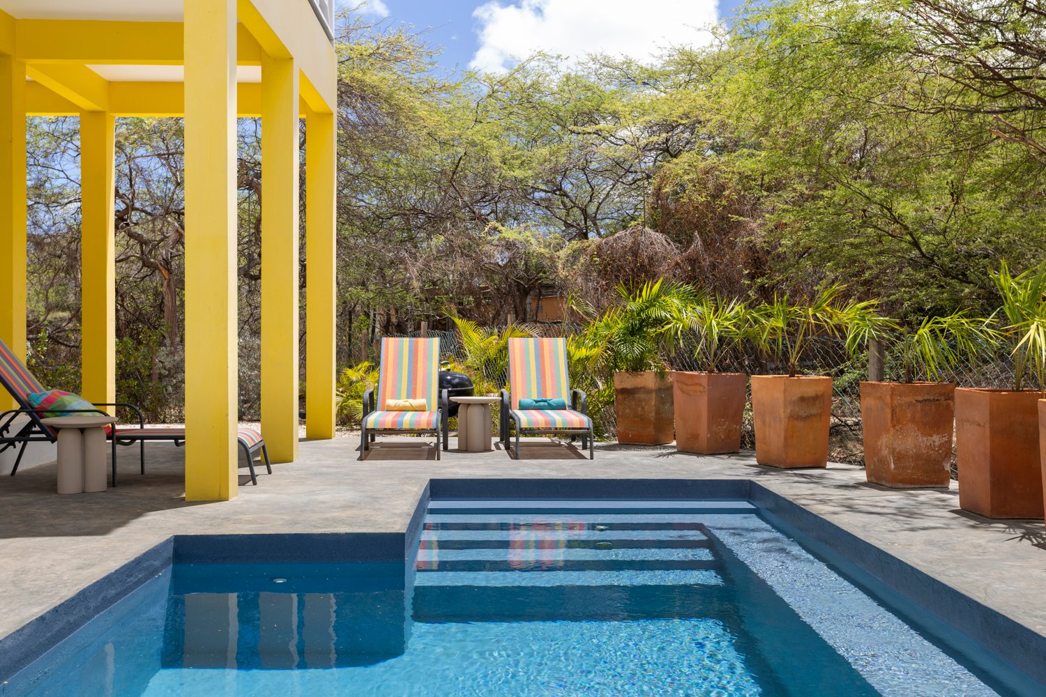 north saliña true media culture 39