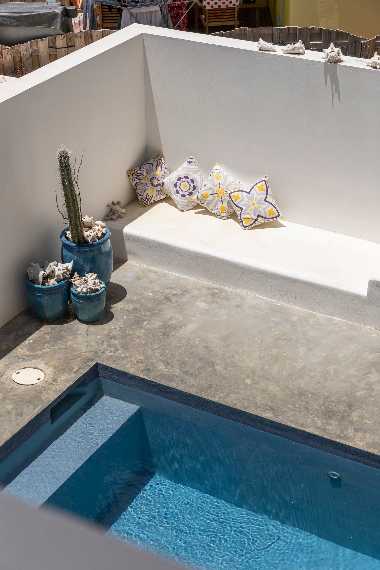 north saliña true media culture 40