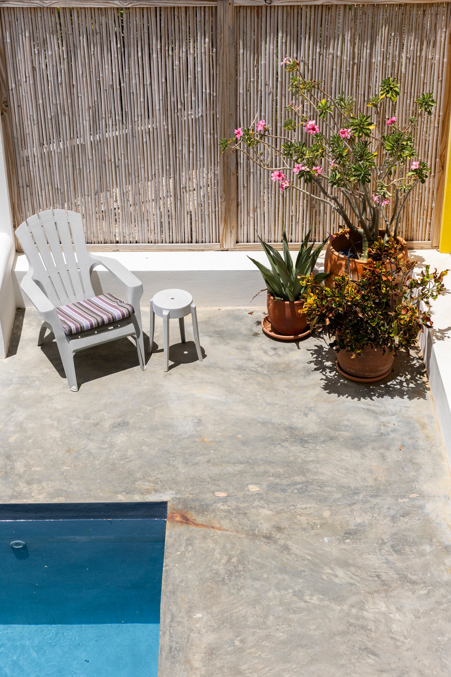 north saliña true media culture 41