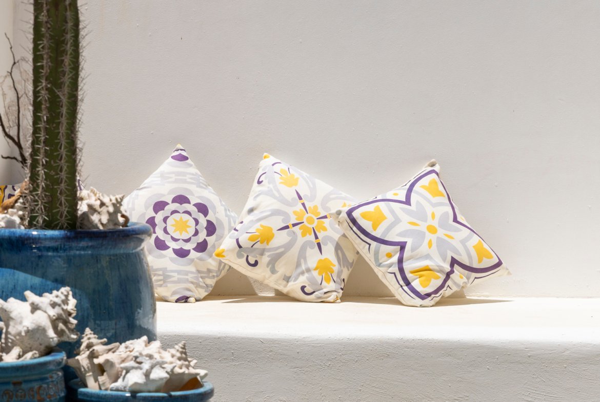 north saliña true media culture 42