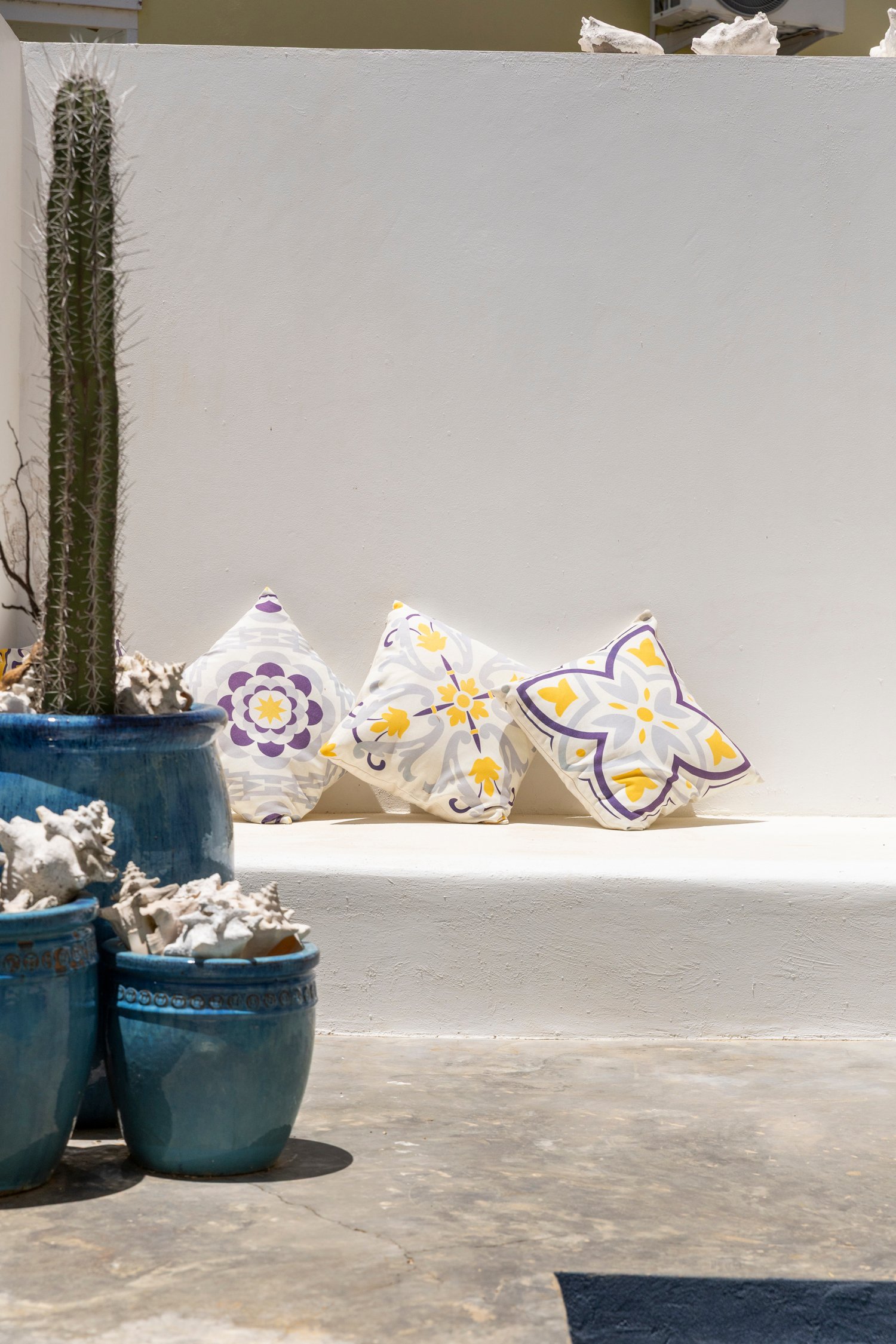 north saliña true media culture 42