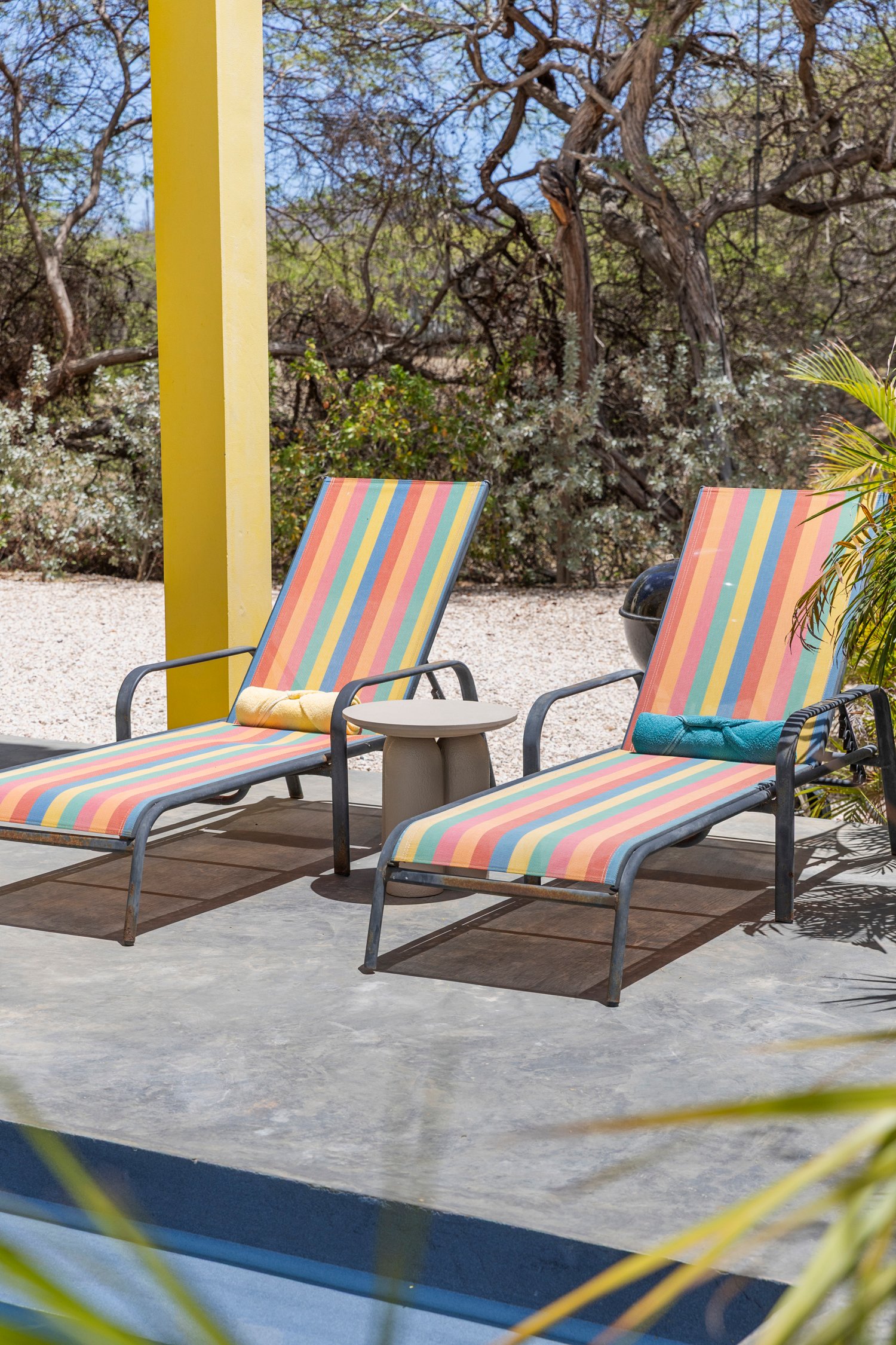 north saliña true media culture 43