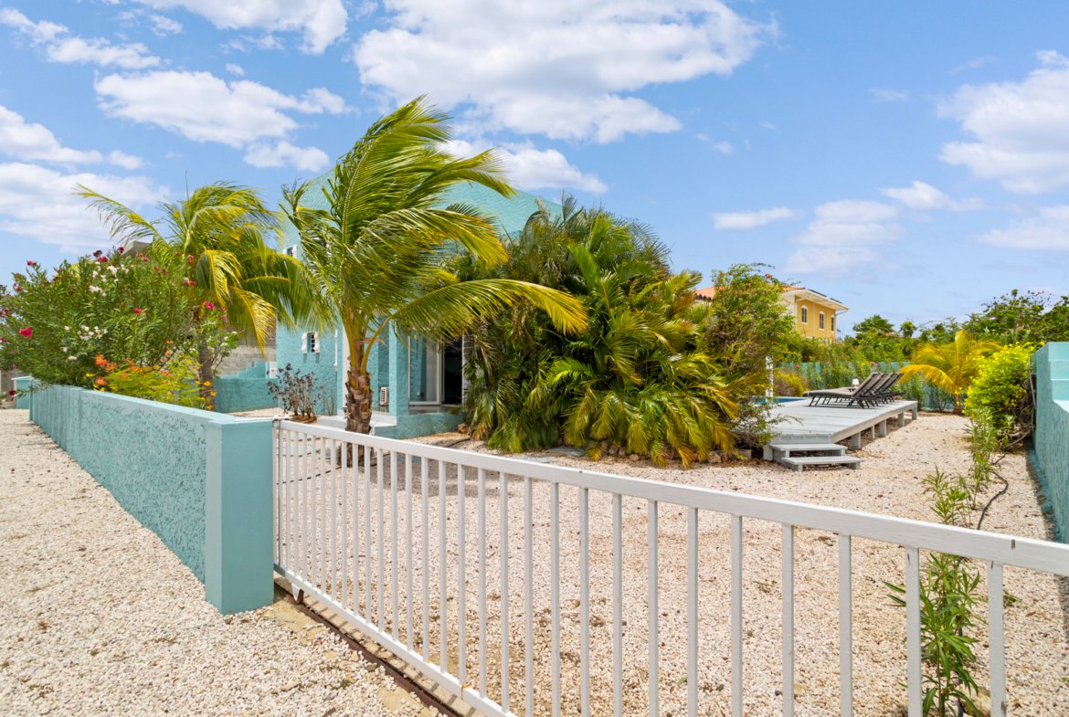 ridge true media culture 01