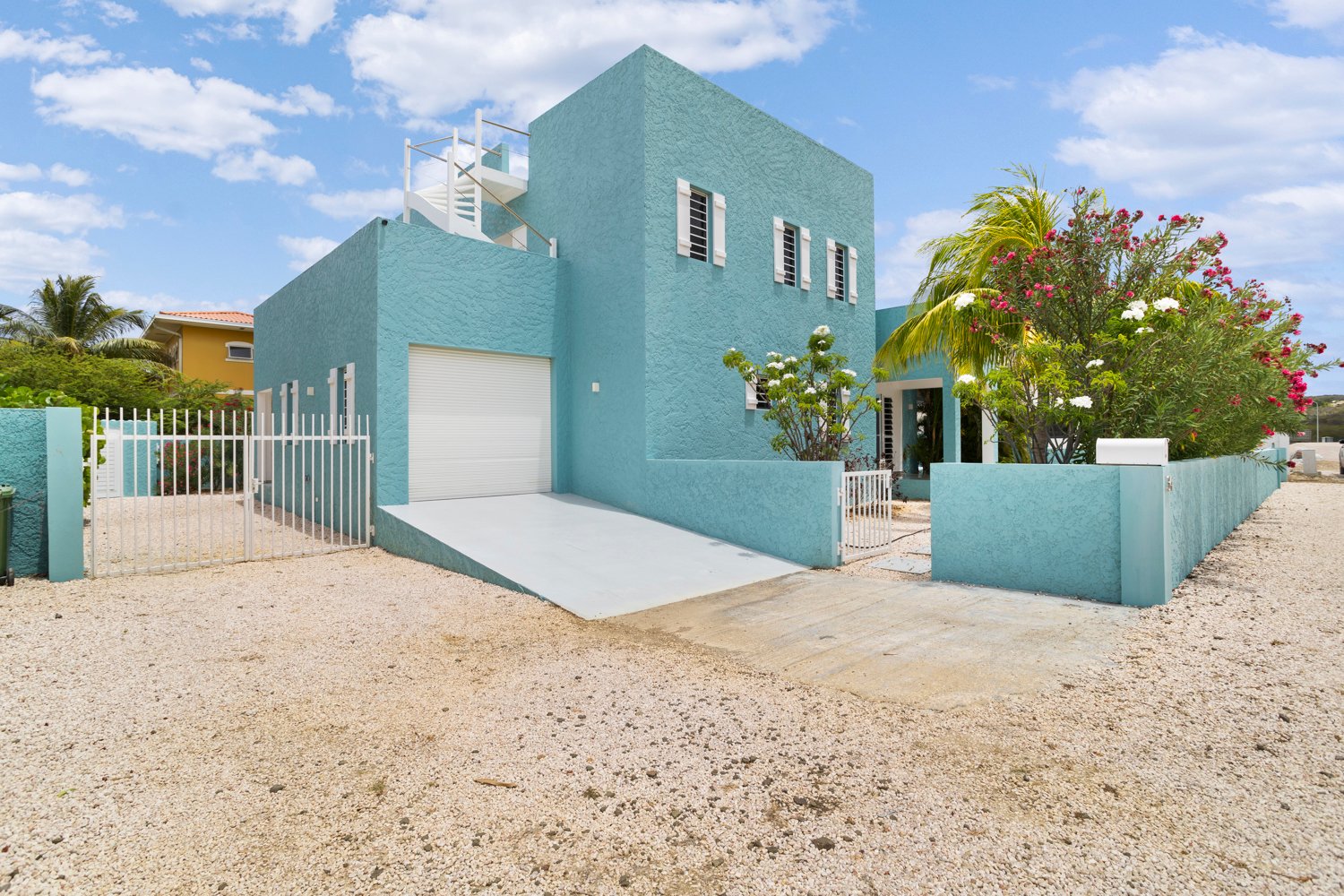 ridge true media culture 02